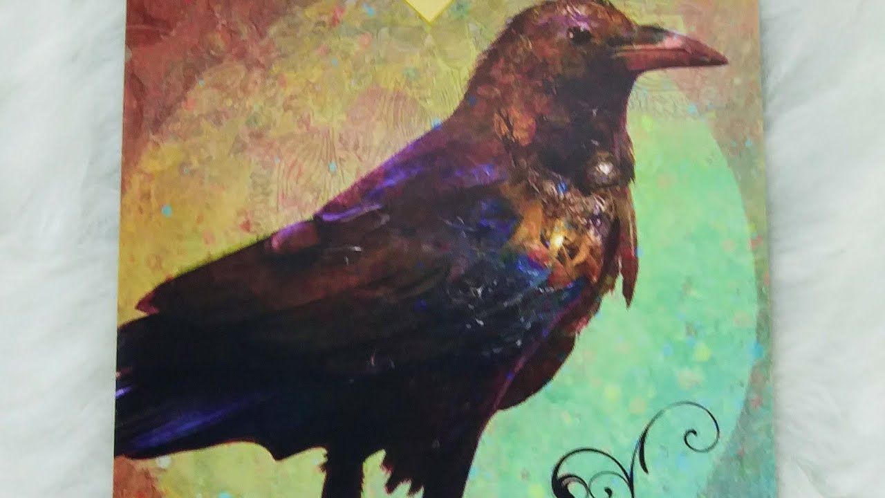 Crow Spirit✨Daily Guidance - Spirit Animal Message #crow #spirit #message #spiritanimal #cocreate