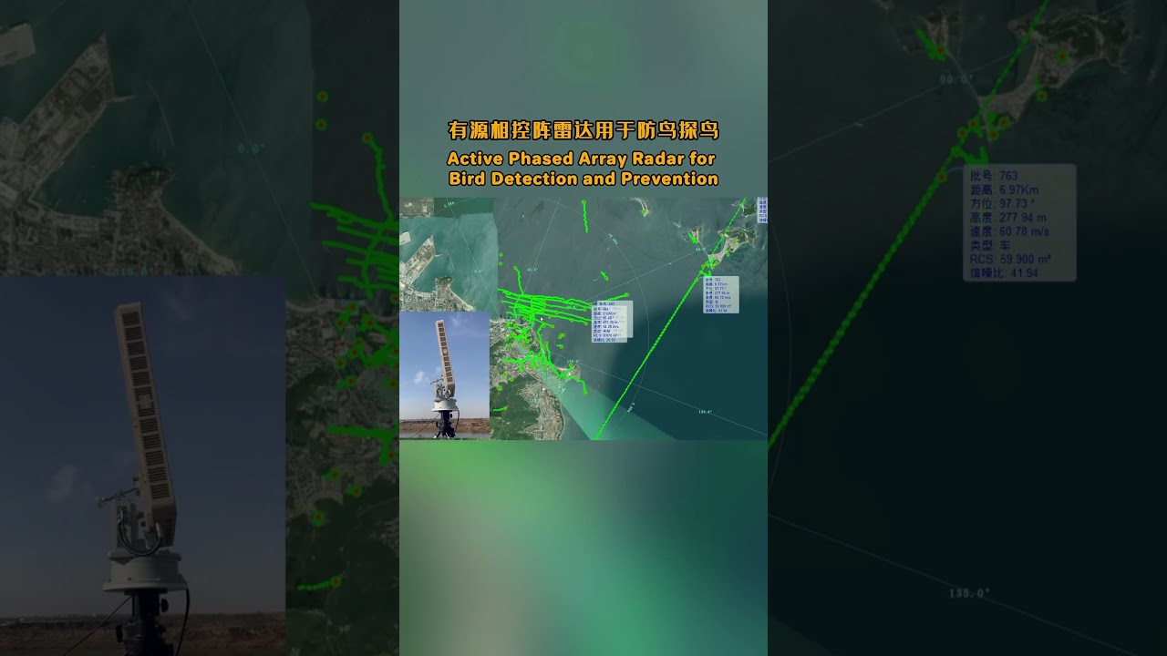 Active Phased Array Radar for Bird Detection and Prevention