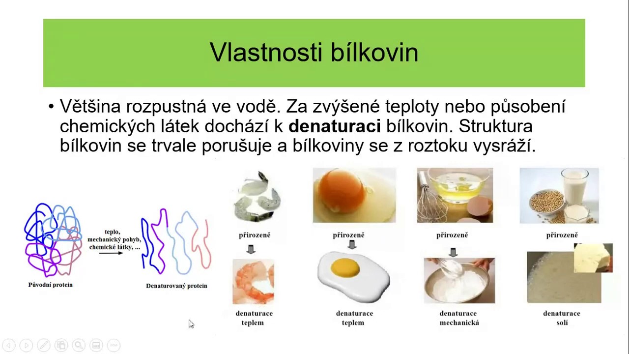 Ch9 - Bílkoviny