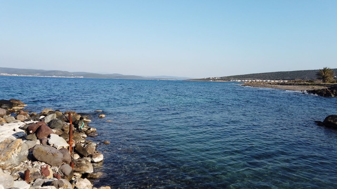 NEFİS BİR KOY RÜZGARLI HAVA VE OLTA KEYFİ | İzmir balık avı 2022 | Fishing planet