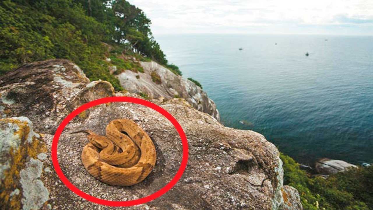Los 5 Lugares M&aacute;s PROHIBIDOS Del Mundo #2 - Top Manias