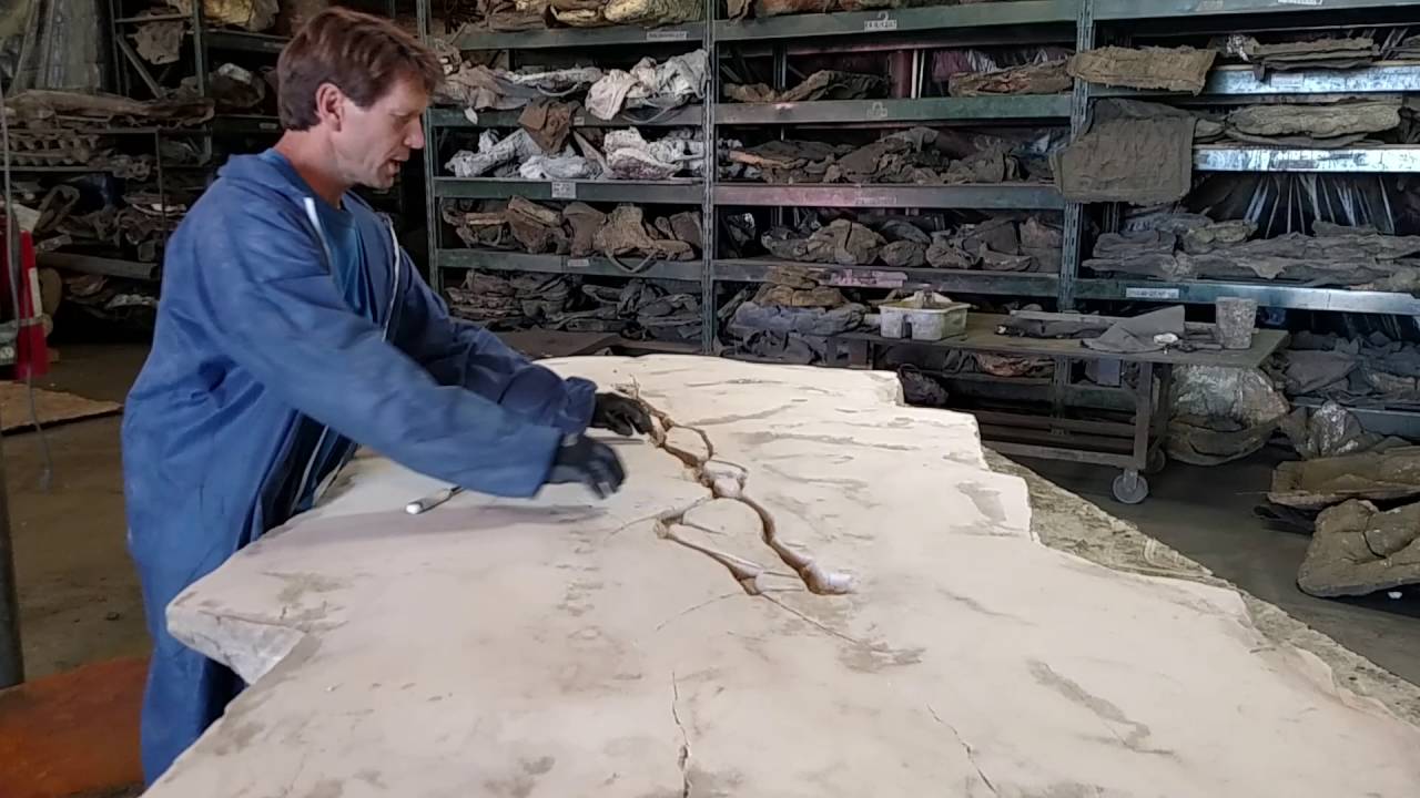 Behind the scenes with Universal Rocks 5.16.16