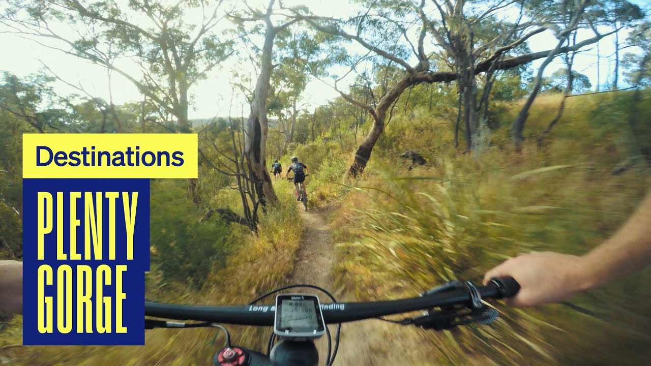 I've become a squid! Trail riding in Plenty Gorge