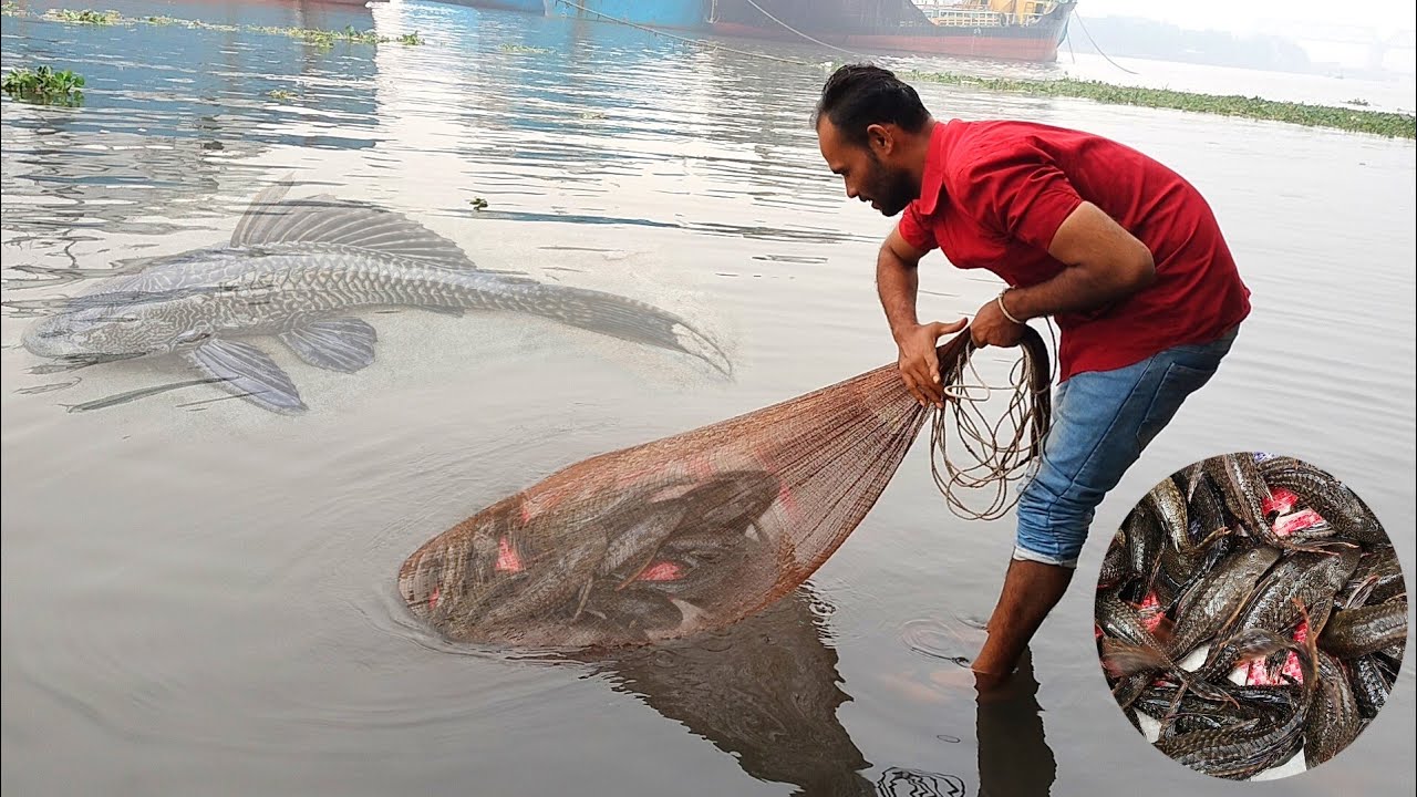 সাকার মাছের দখলে পুরো বুড়িগঙ্গা নদী।। মাছ শূন্য বুড়িগঙ্গা ২০২৩।। Fishing by Dhaka Buriganga River