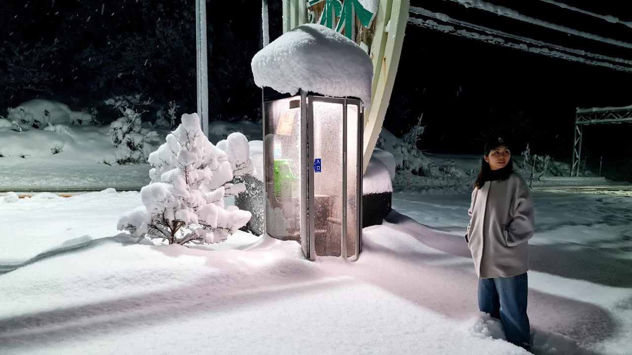 【富山】今年最後に大雪警報で大変なことになった