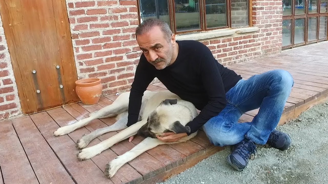 Yılmaz Erdoğan - Aşkın ve Kırgınlığın Her Pazartesi