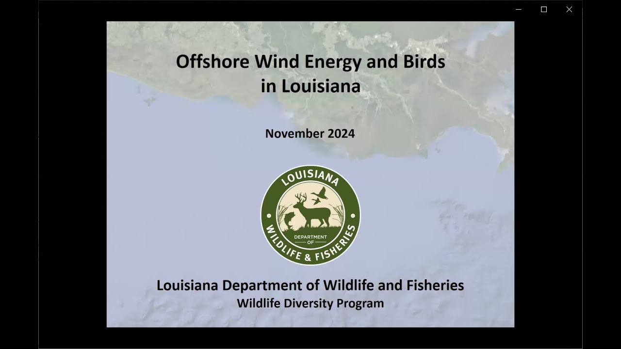 Offshore Wind Energy and Birds in Louisiana
