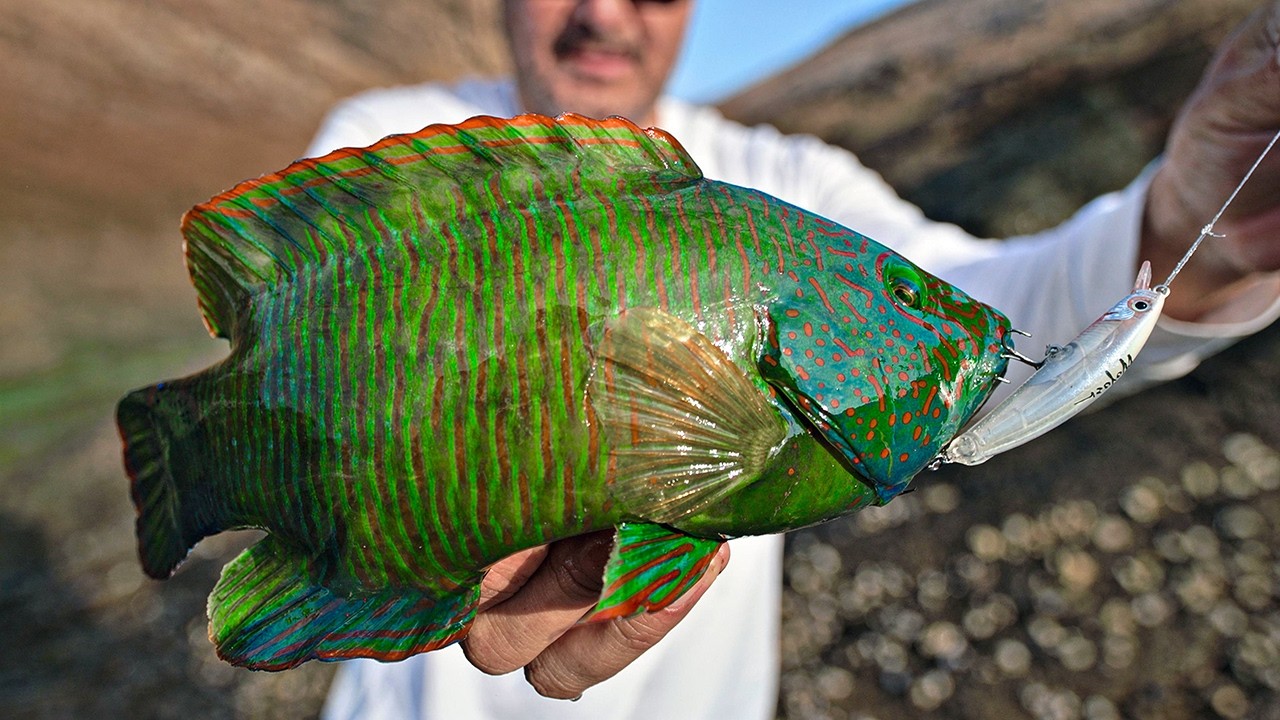 Fishing the Rocks     Light     Medium     Heavy     Tackle