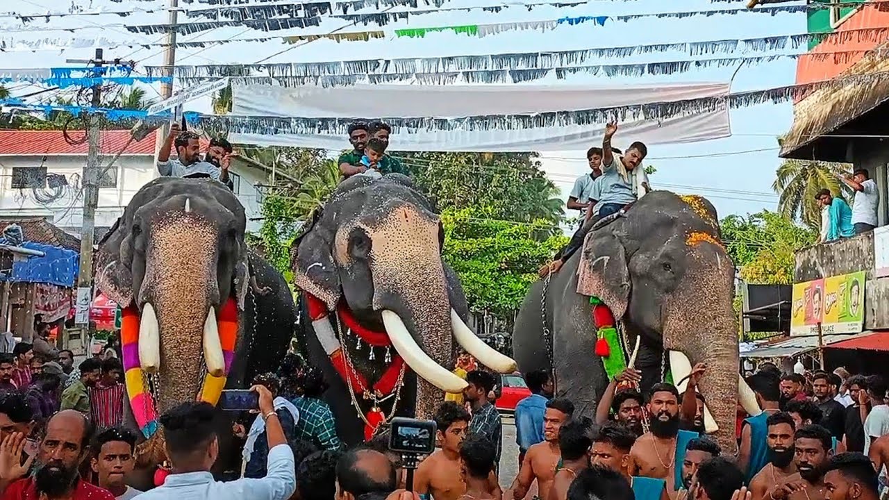 കല്ലുംപുറം ഗജ സംഗമം2022|pabadi rajan |chirakkara sriram|ottoly mahadevan|kallumpuram perunnal