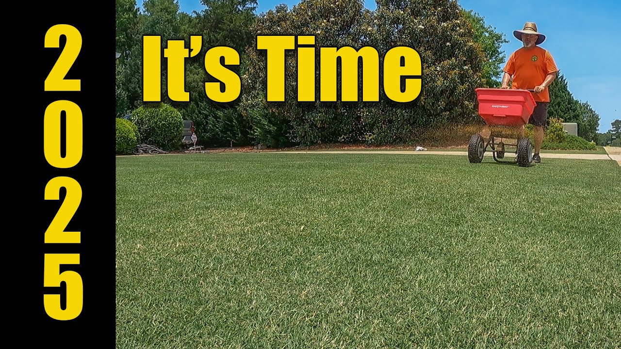 Don't Be Late - Early Spring Lawn Care