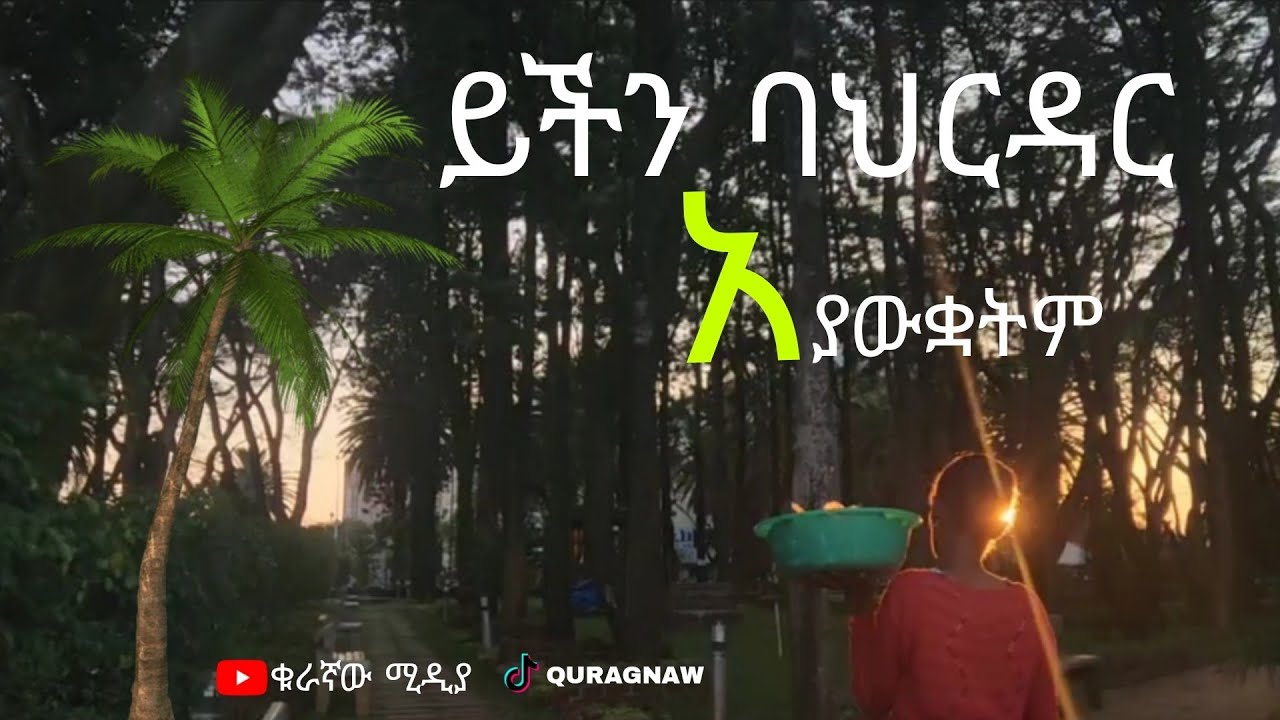 ይችኛዋን ባህር ዳር አላዩዋትም !!!.