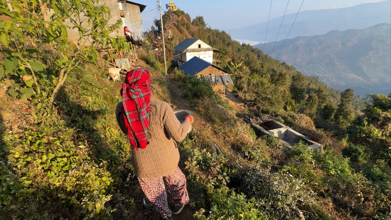 Beautiful Mountain Village Simple Life | Natural Living in the Village | Bijaya Limbu