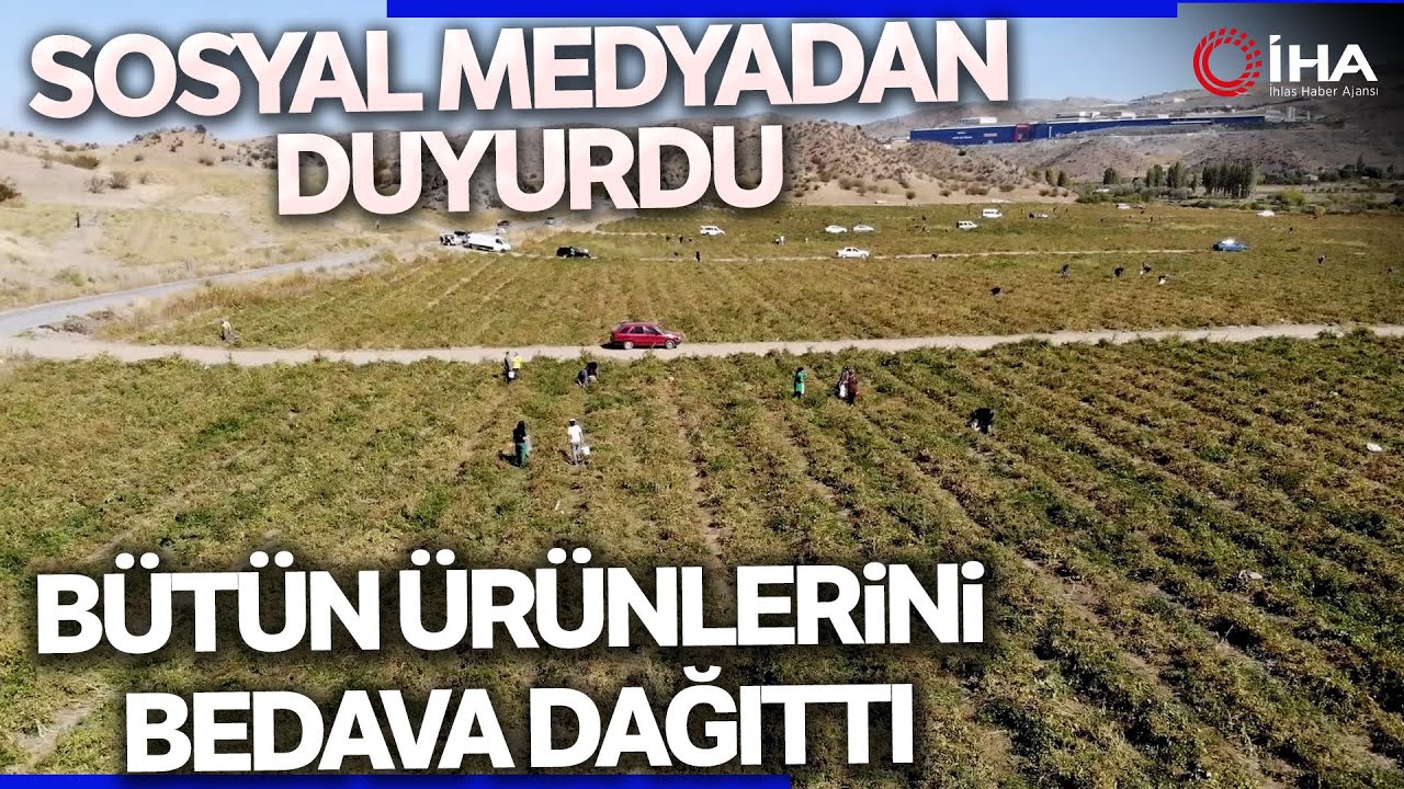Tarlasında Kalan Mahsulleri Bedavadan Dağıttı