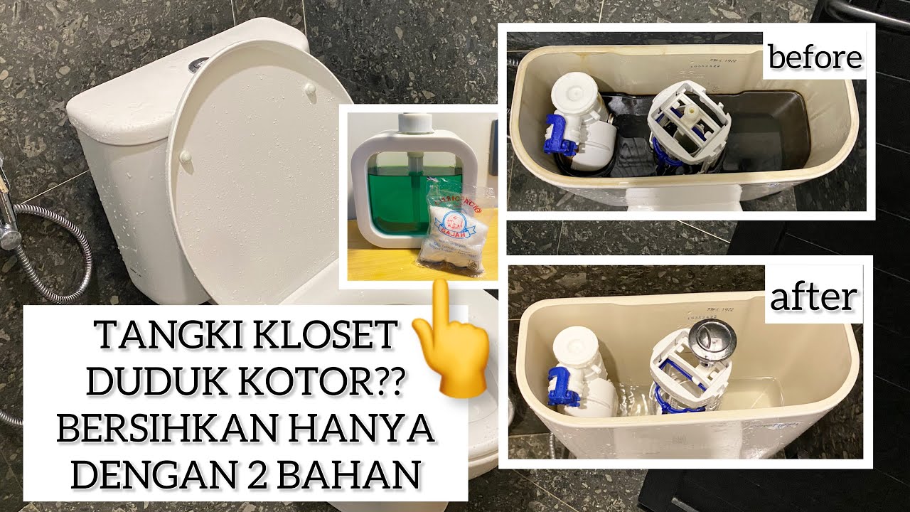 CARA MEMBERSIHKAN TANGKI KLOSET DUDUK || CARA BERSIHKAN TANGKI TOILET AMAN BUAT SEPTIC TANK