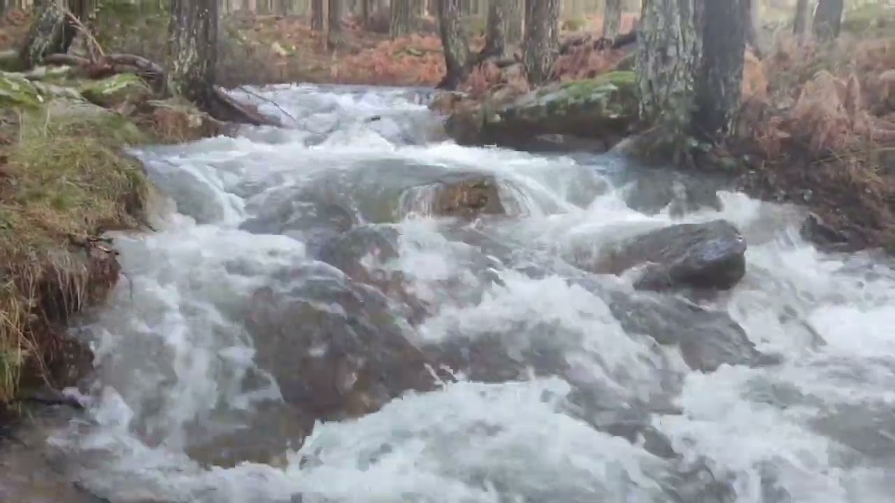 Río de Montaña – Sonido Relajante de Agua Natural💖