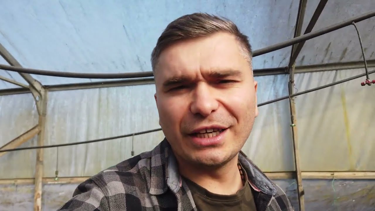 რა ჯდება ლურჯი მოცვის დარგვა ქოთნებში?