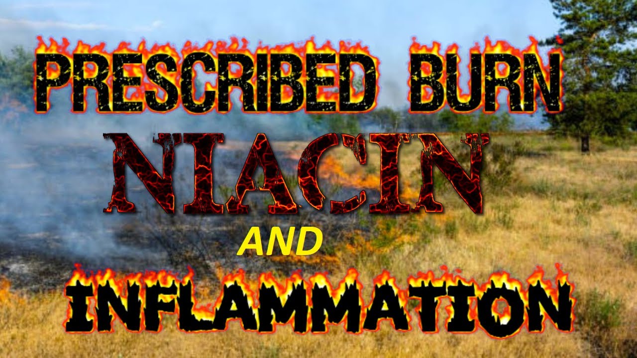 Назначенный BURN: Ниацин и воспаление