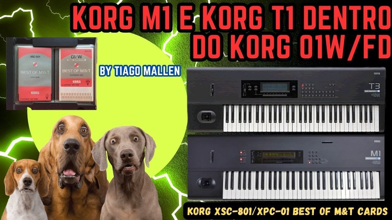 KORG 01W/FD by TIAGO MALLEN Korg (XSC-801/XPC-01 Best of M&T Cards) CARD THE BEST M1 & T SÉRIES