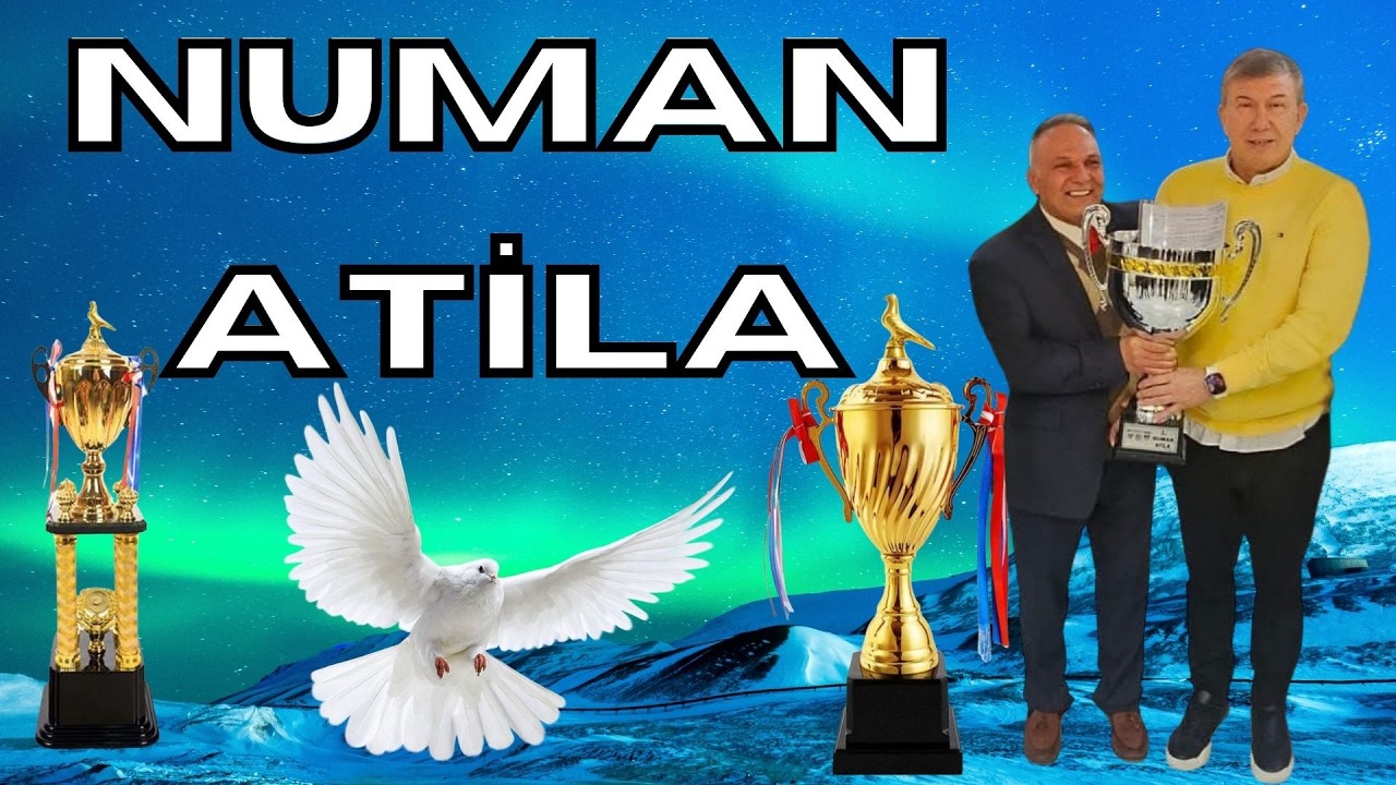 Büyük Şampiyon Eke Şampiyonu Numan Atila Ekeyle Şampiyon Olama Fırsatı Kaçırmayın.