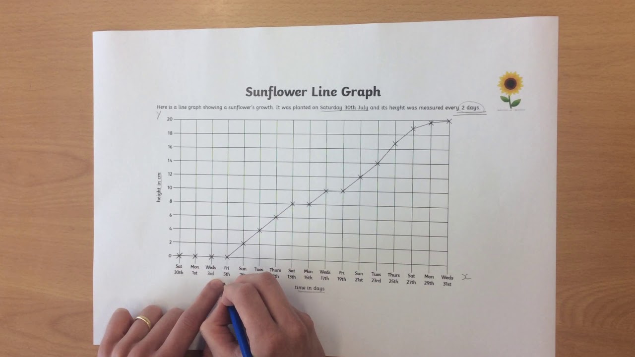 Year 4   Maths Day 2   Interpreting Line Graphs