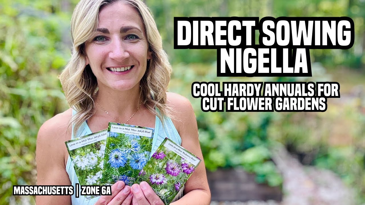 Direct Sowing Nigella | Cool Hardy Annuals for Cut Flower Gardens (Zone 6a)