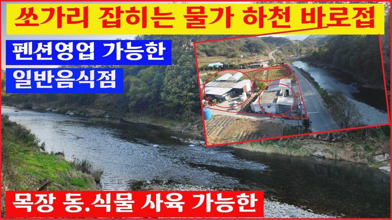 [전원주택1번지#251102]충주전원주택매물 맑은천이 늘 흐르는 곳 펜션으로 강추 합니다. 음식점및 동식물관련시설 허가 1200여py 매매가3억5천만원