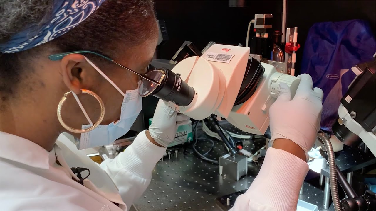 Why Choose BME at Emory & Georgia Tech?