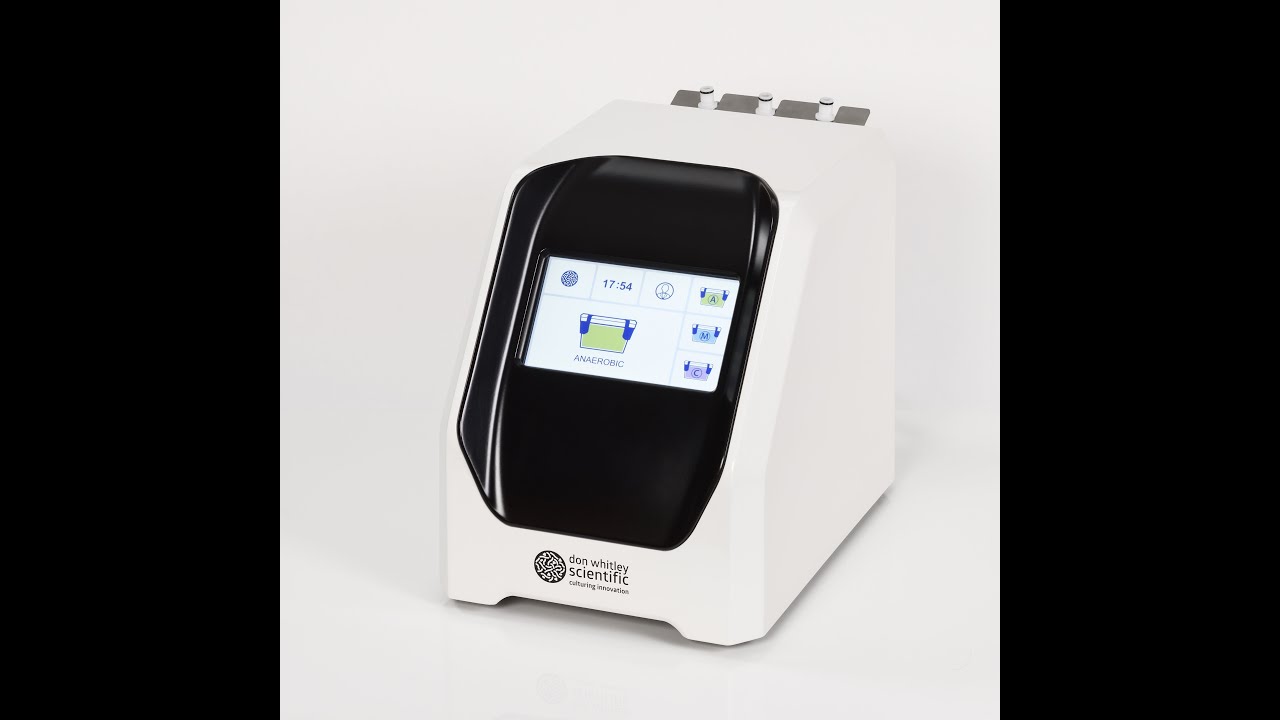 Microbiology International - Whitley Atmogen Jar Gassing System
