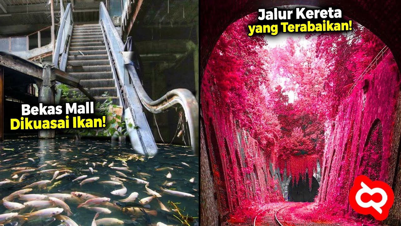 Ketika Tempat yang Dulunya Ramai Diambil Alih Alam, Tak Disangka Kondisinya Sekarang…