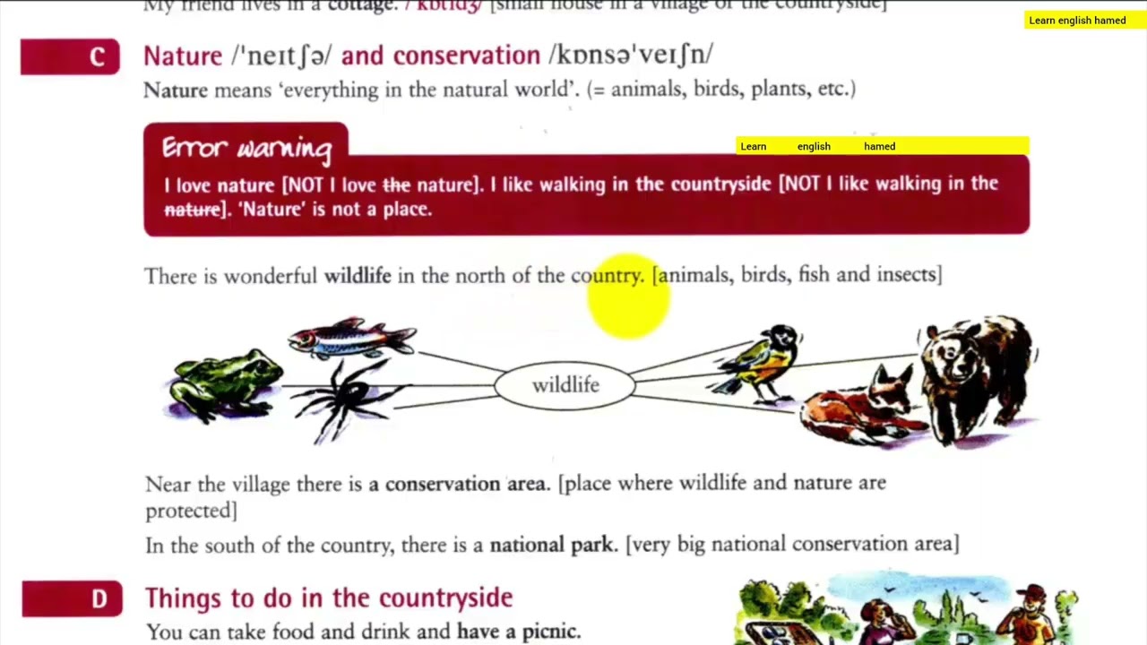 @Vocabulary in use_Elementary_unit_28