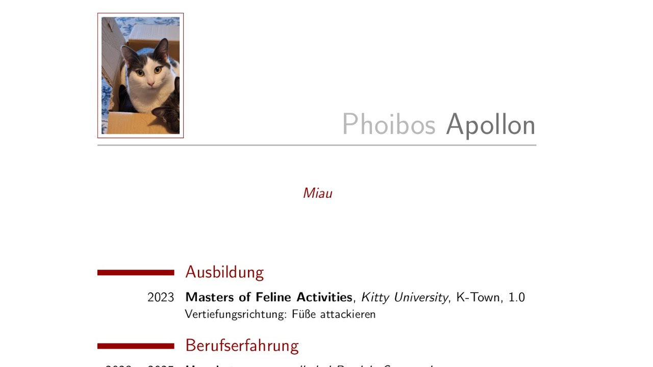 Lebensläufe mit LaTeX erstellen - die Klasse moderncv