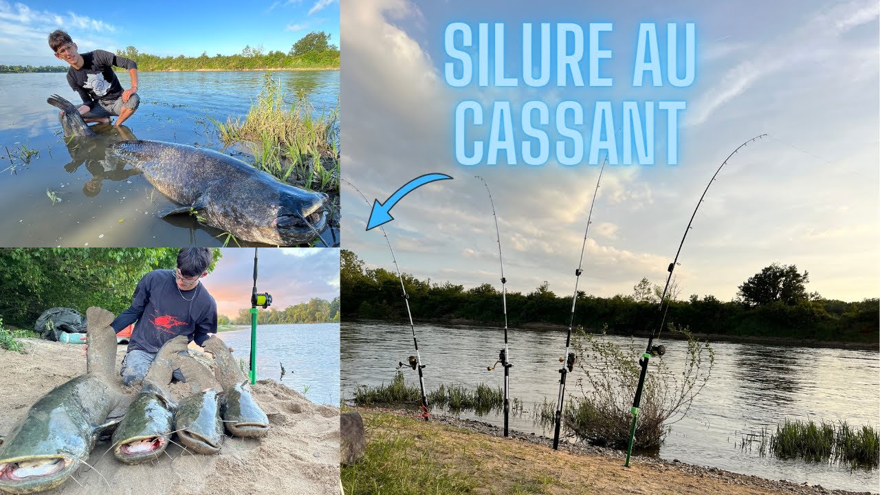 MES PREMIERS SILURES au CASSANT (un carnage suprême😨)