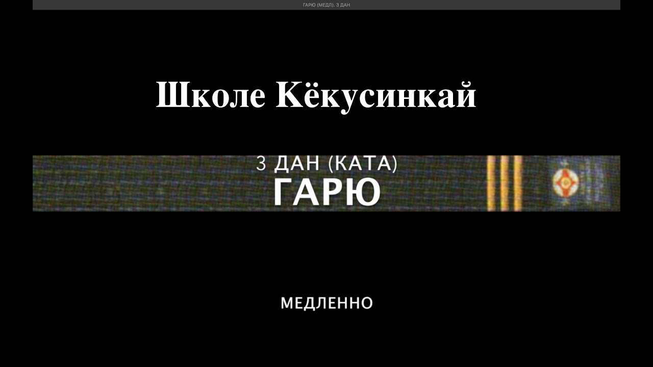 ГАРЮ (МЕДЛ). 3 ДАН
