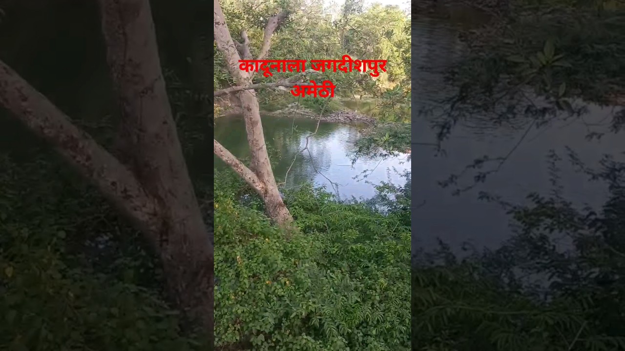 कादूनाला जगदीशपुर अमेठी 