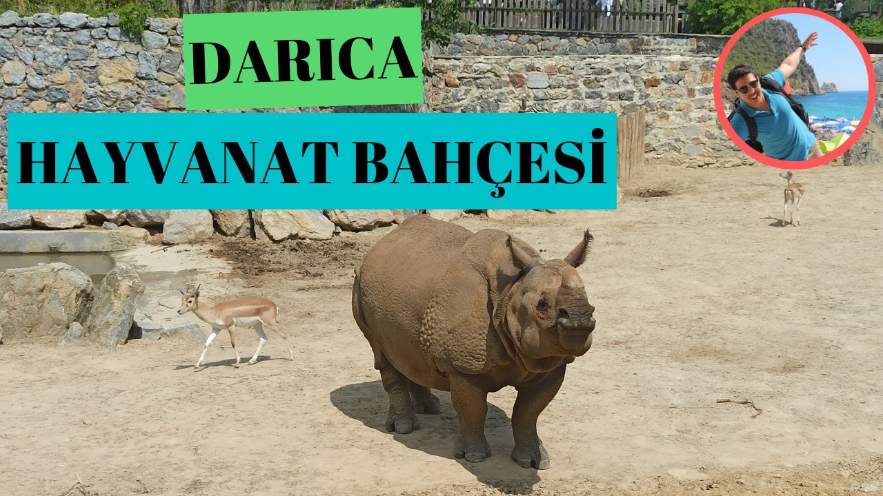 Darıca Hayvanat Bahçesi Gezisi