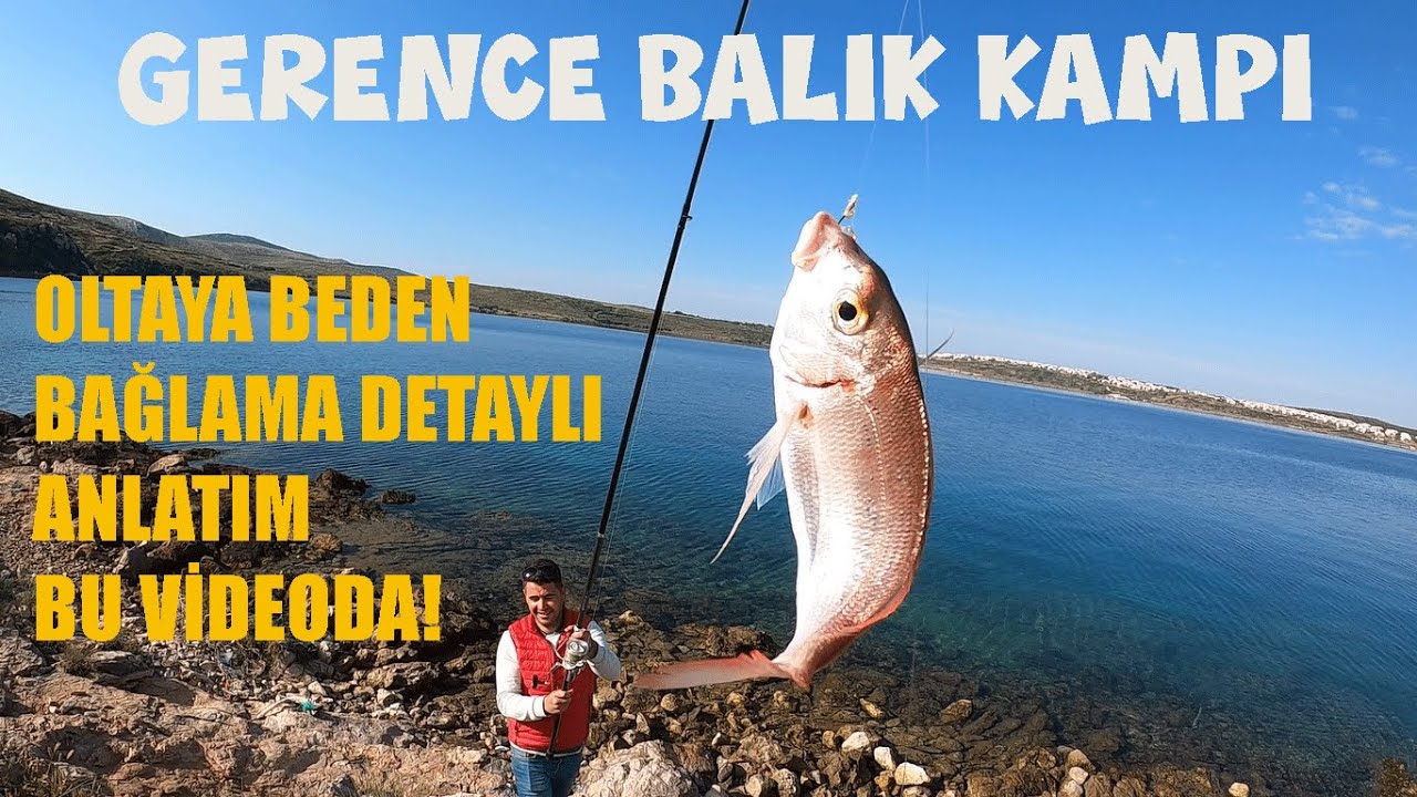 GERENCE BALIK AVI KAMPI! KIYIDAN HER ÇEŞİT BALIK YAKALADIK!!