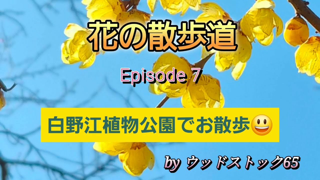 Ep7 冬の白野江