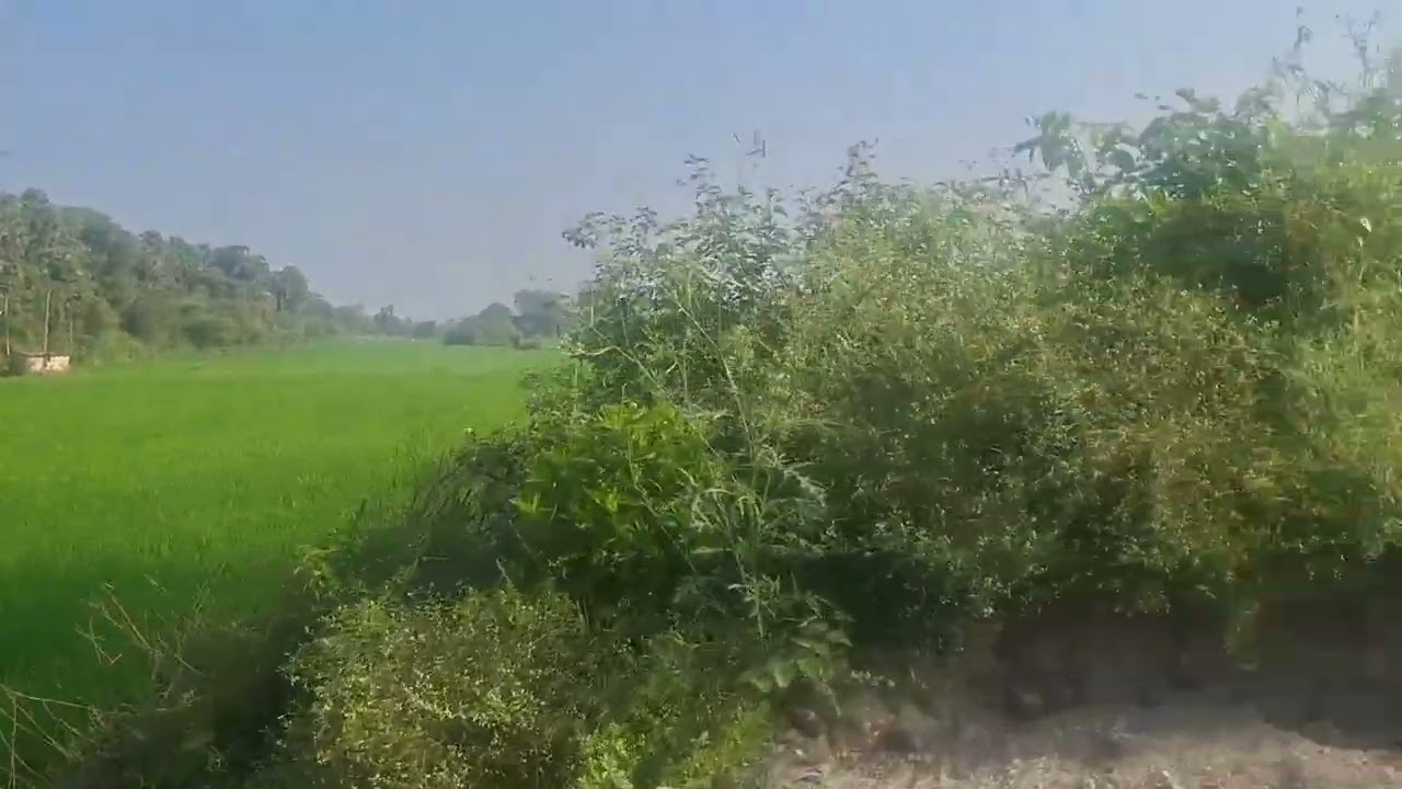 Vandavasi to tindivanam cut road 4km motor service well 2acres24cent price 18000