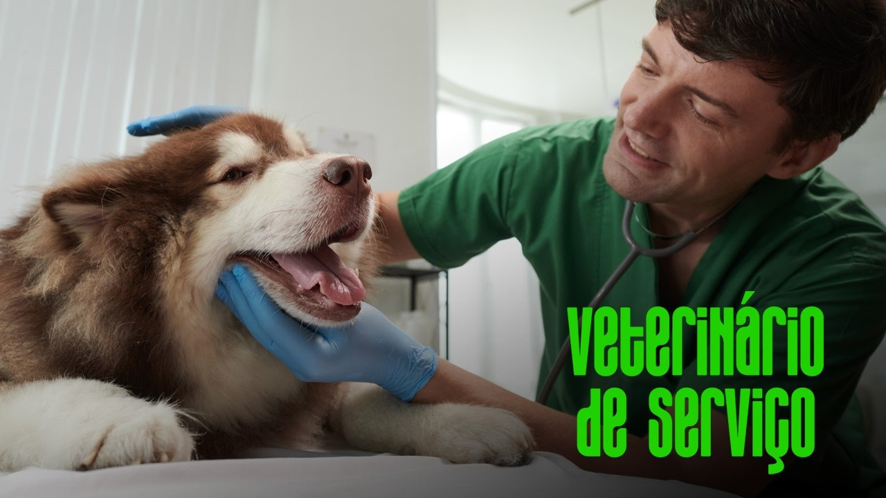Saúde oral de cães e gatos: Tudo o que deve saber