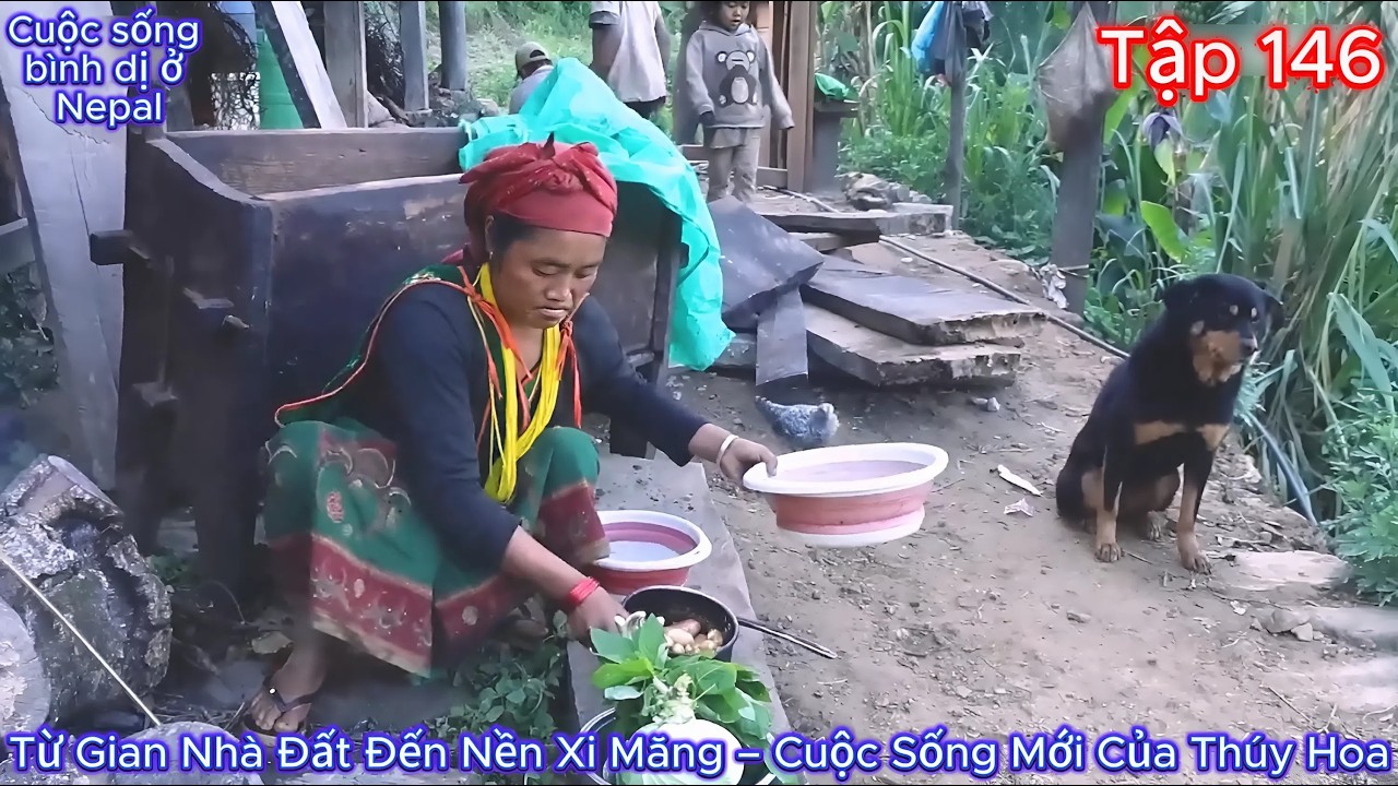 Thúy Hoa Tập 146  - Từ Gian Nhà Đất Đến Nền Xi Măng – Cuộc Sống Mới Của Thúy Hoa