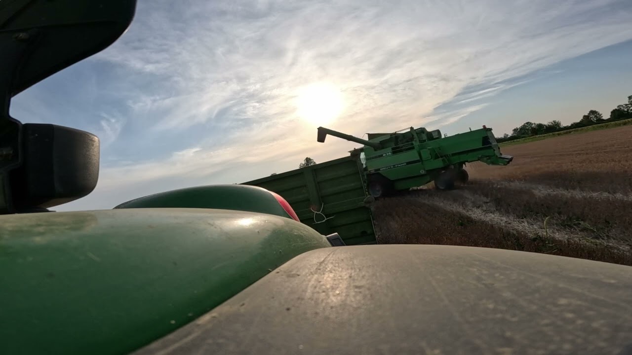 ŽETVA SUNCOKRETA 2024 - SUNCOKRET - DEUTZ FAHR 3640 - JOHN DEERE 6920 - ZVIJEZDA - PRONAR