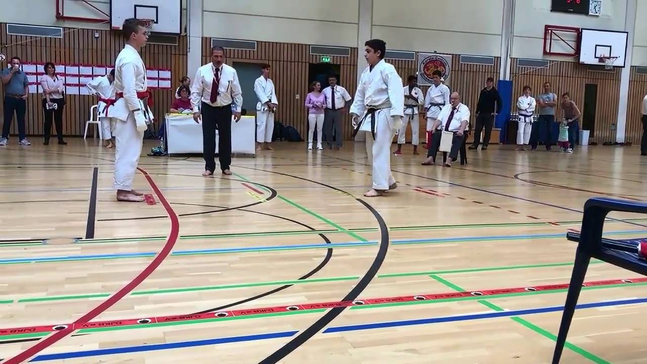 Shobu-Ippon Cup 2017 Karate, Emanuel Silva 1st place