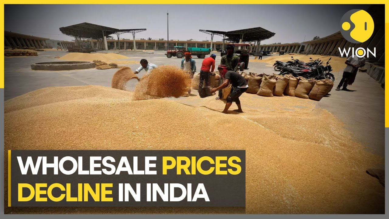 India's wholesale inflation in negative zone | English News | WION