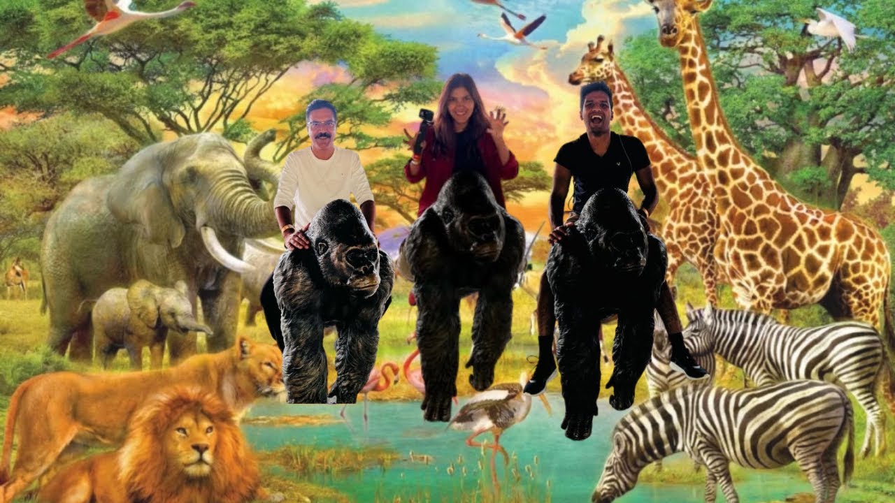 Dubai Safari Park l Things to do in Dubai