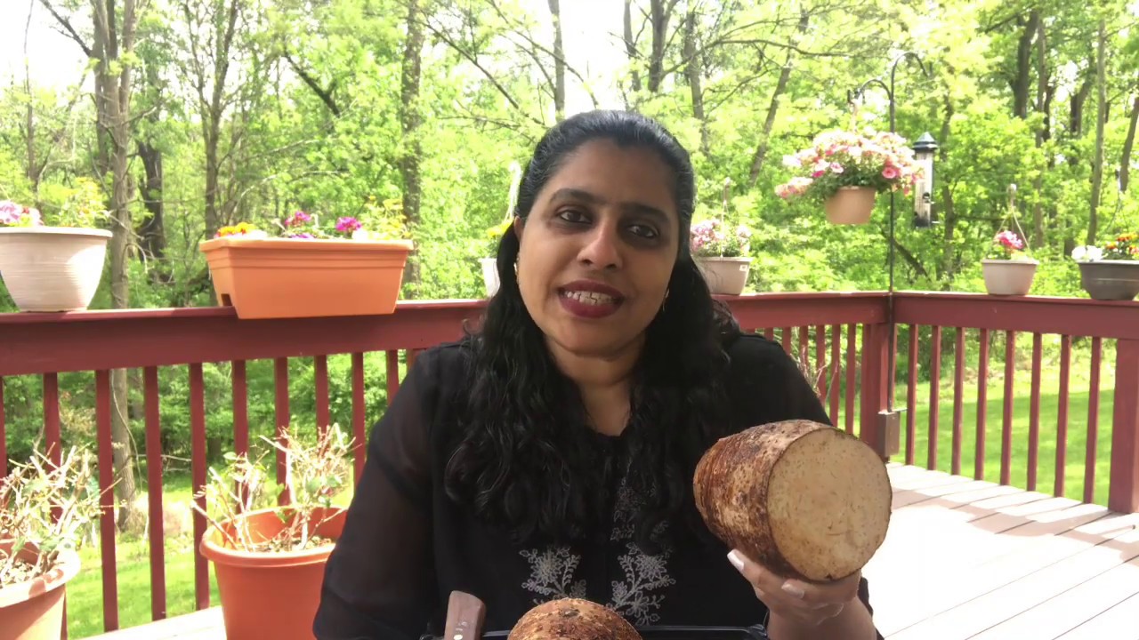 Ep:42||Ever tried boiled Malanga?|Must try root vegetable with yogurt or tamarind chutney|Enjoy|