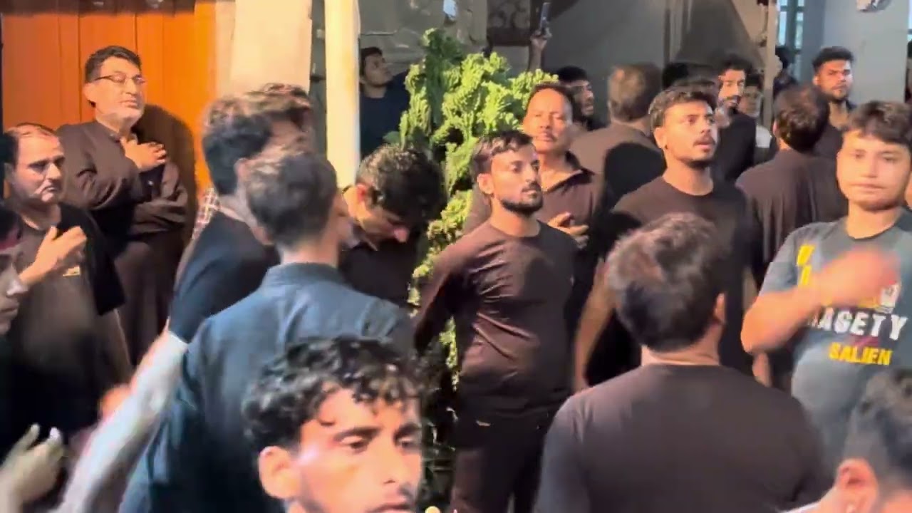 Aey mere bhai alamdar|Azmi abbas|8muharram juloos|abupura imambargah muzaffarnagar 2023/1445