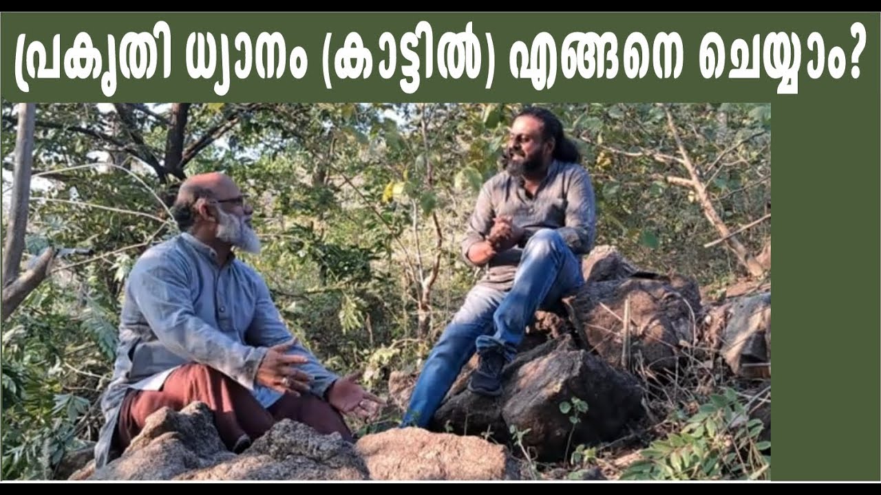 പ്രകൃതി ധ്യാനം  (കാട്ടിൽ) എങ്ങനെ ചെയ്യാം?
