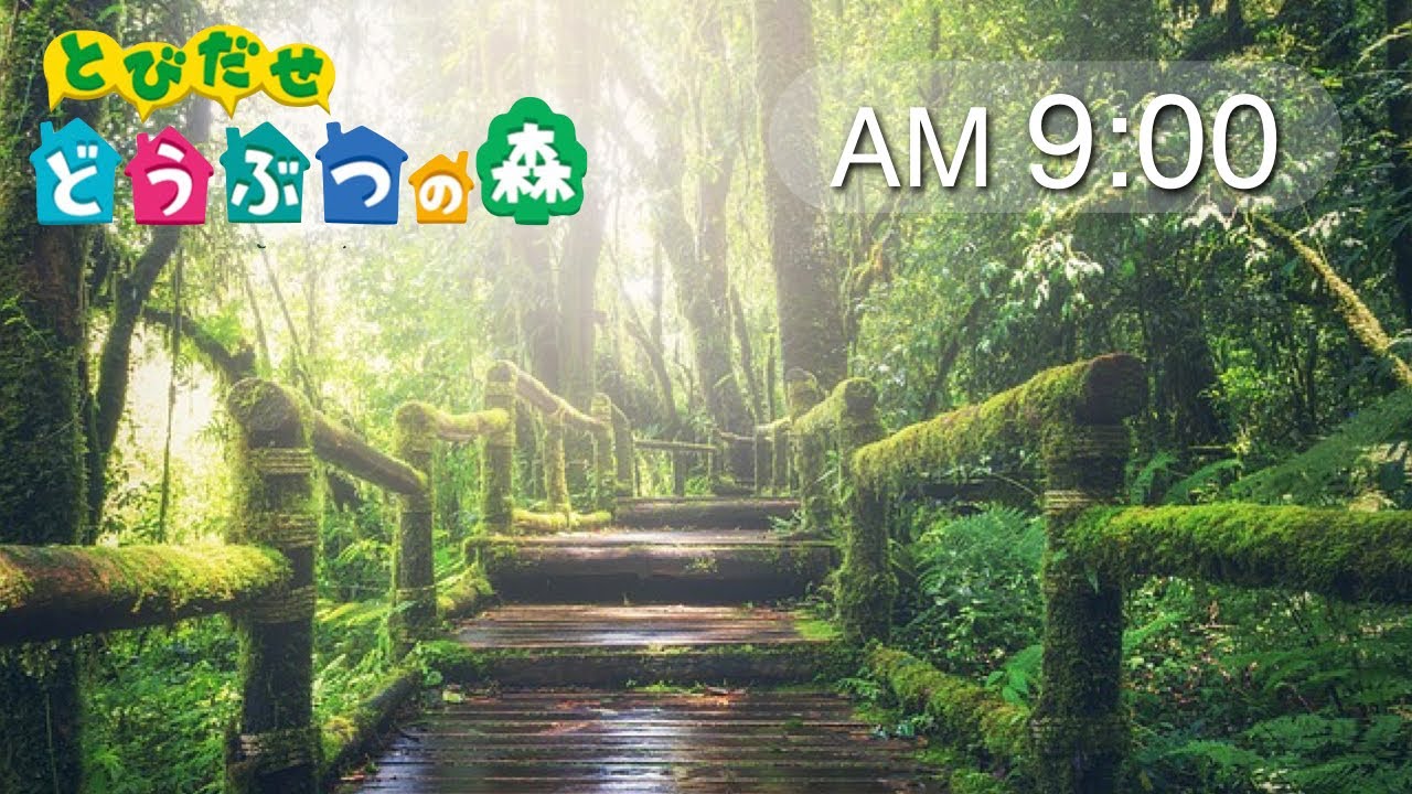 【作業用BGM 任天堂音楽】 雨音 + とびだせどうぶつの森 午前9時！作業用1時間bgm / Animal Crossing：New leaf PM 9:00【ピアノ演奏 耳コピ】