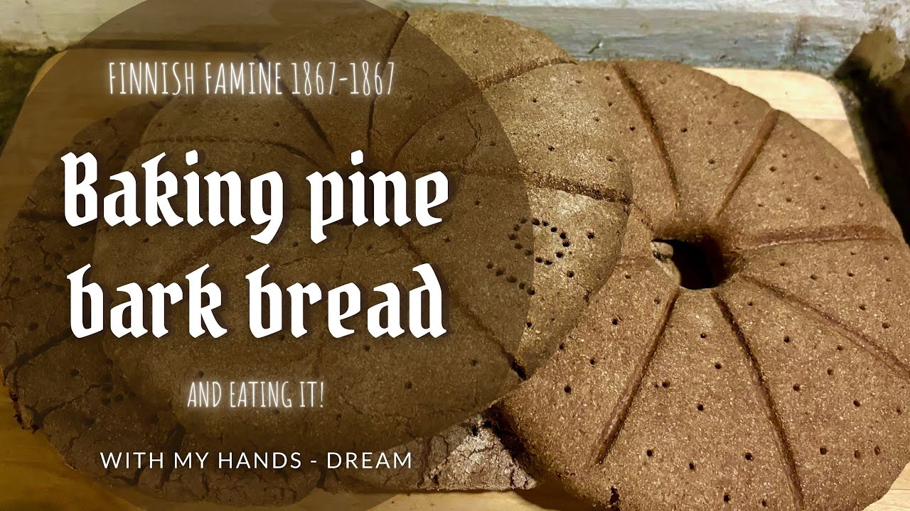 Finnish famine part 2: Baking pine bark bread