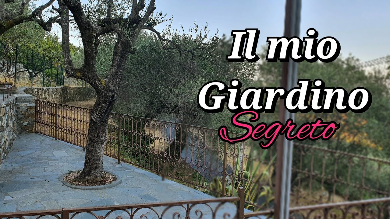 VIDEO WILD NEL MIO GIARDINO SEGRETO||ASMR ITA (Lo-Fi)